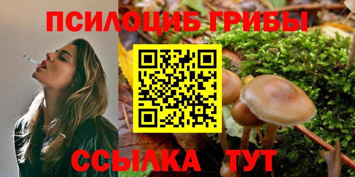 Малоярославец  Галлюциногенные грибы MAGIC MUSHROOMS  Вход с VPN 